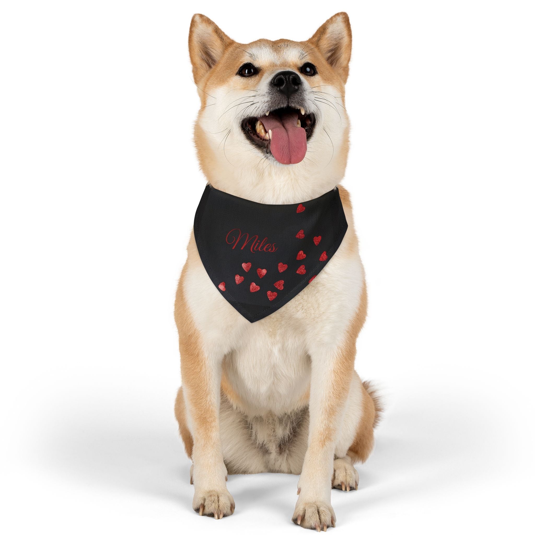"ALMILIFE" Customizable Dog Bandana