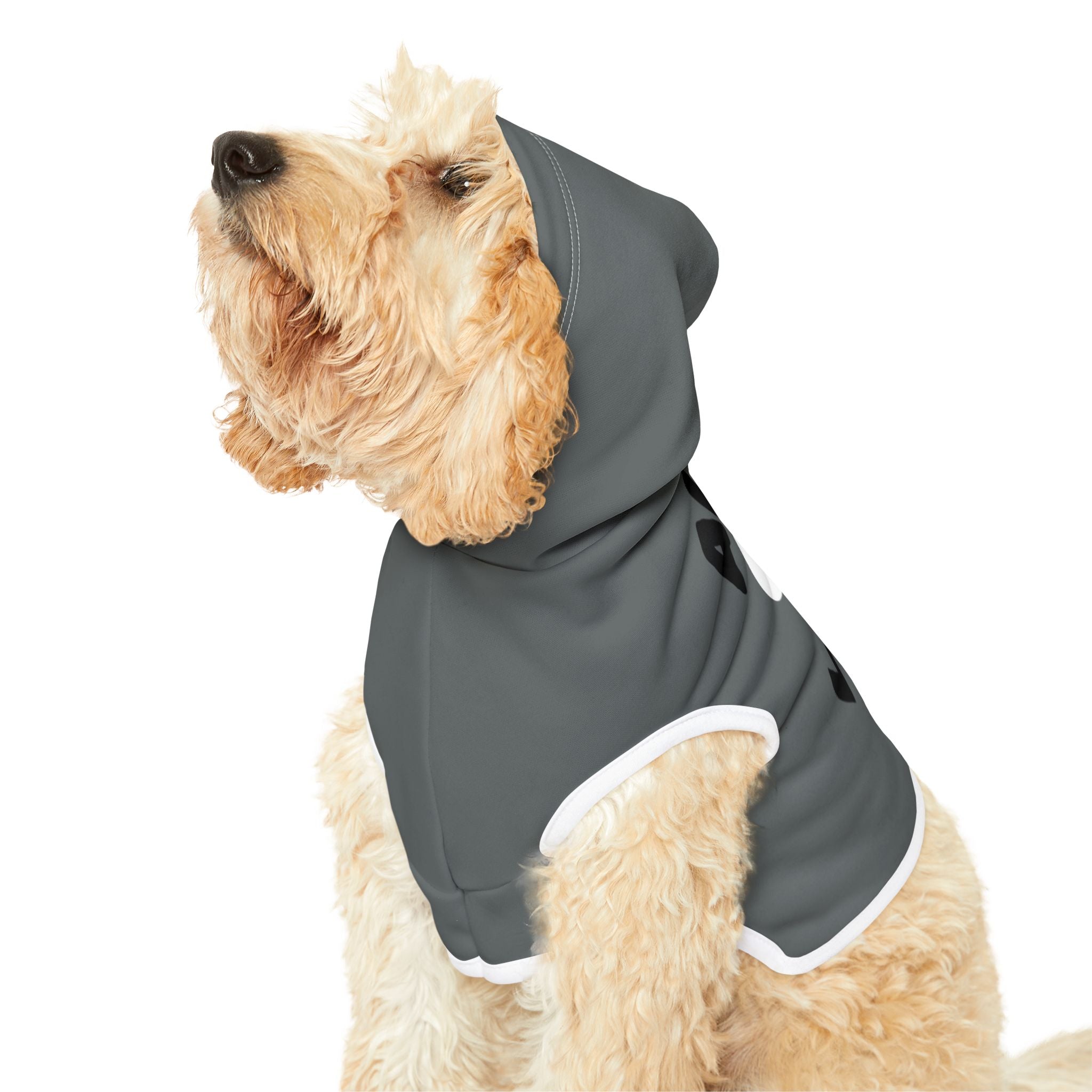 "ALMILIFE" Dog Hoodie