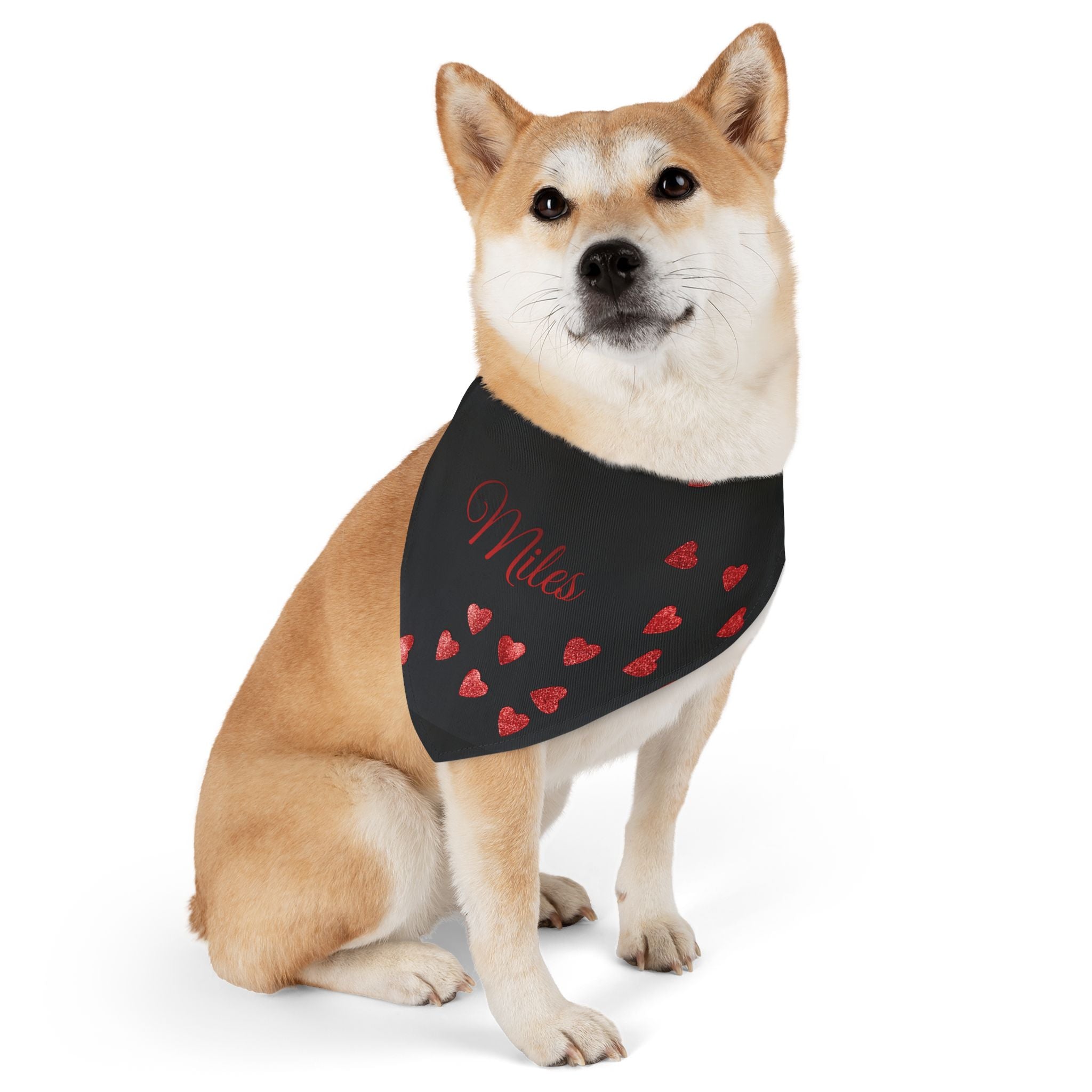 "ALMILIFE" Customizable Dog Bandana