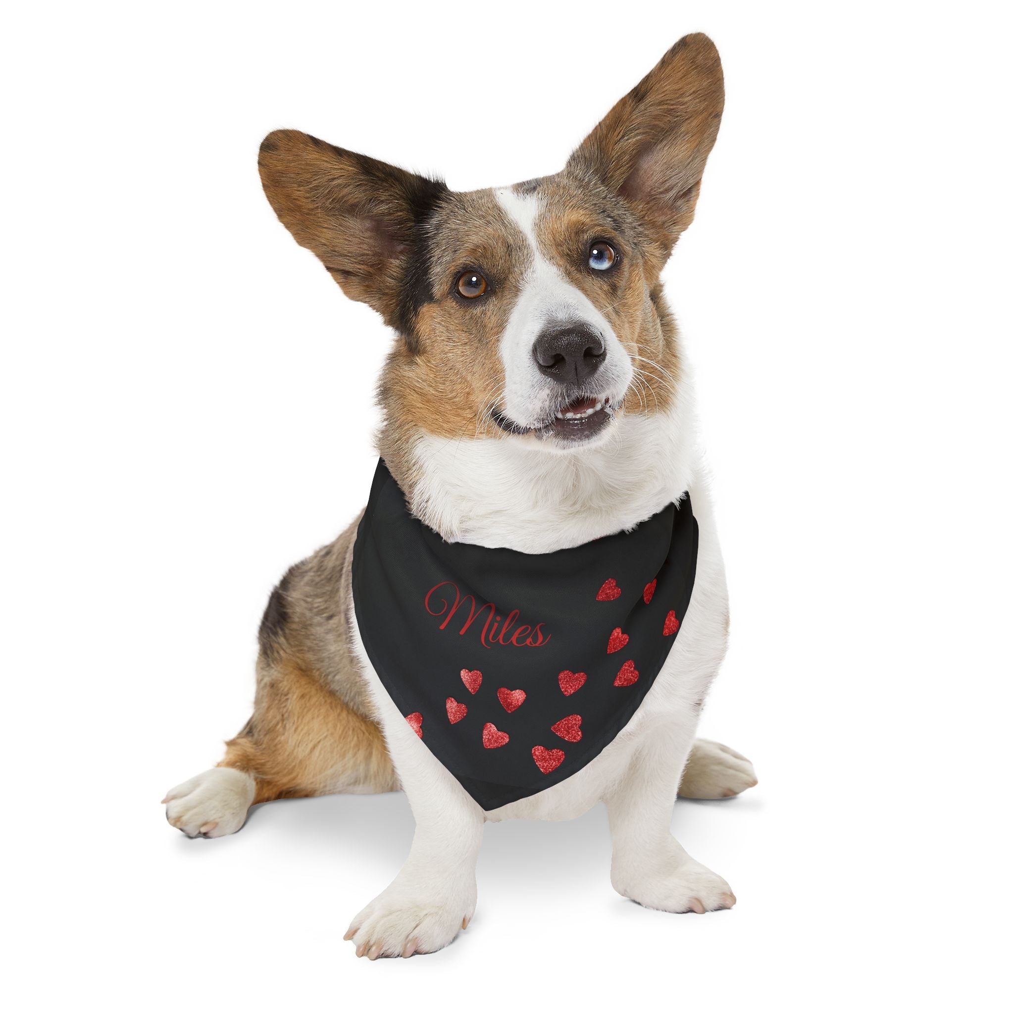 "ALMILIFE" Customizable Dog Bandana