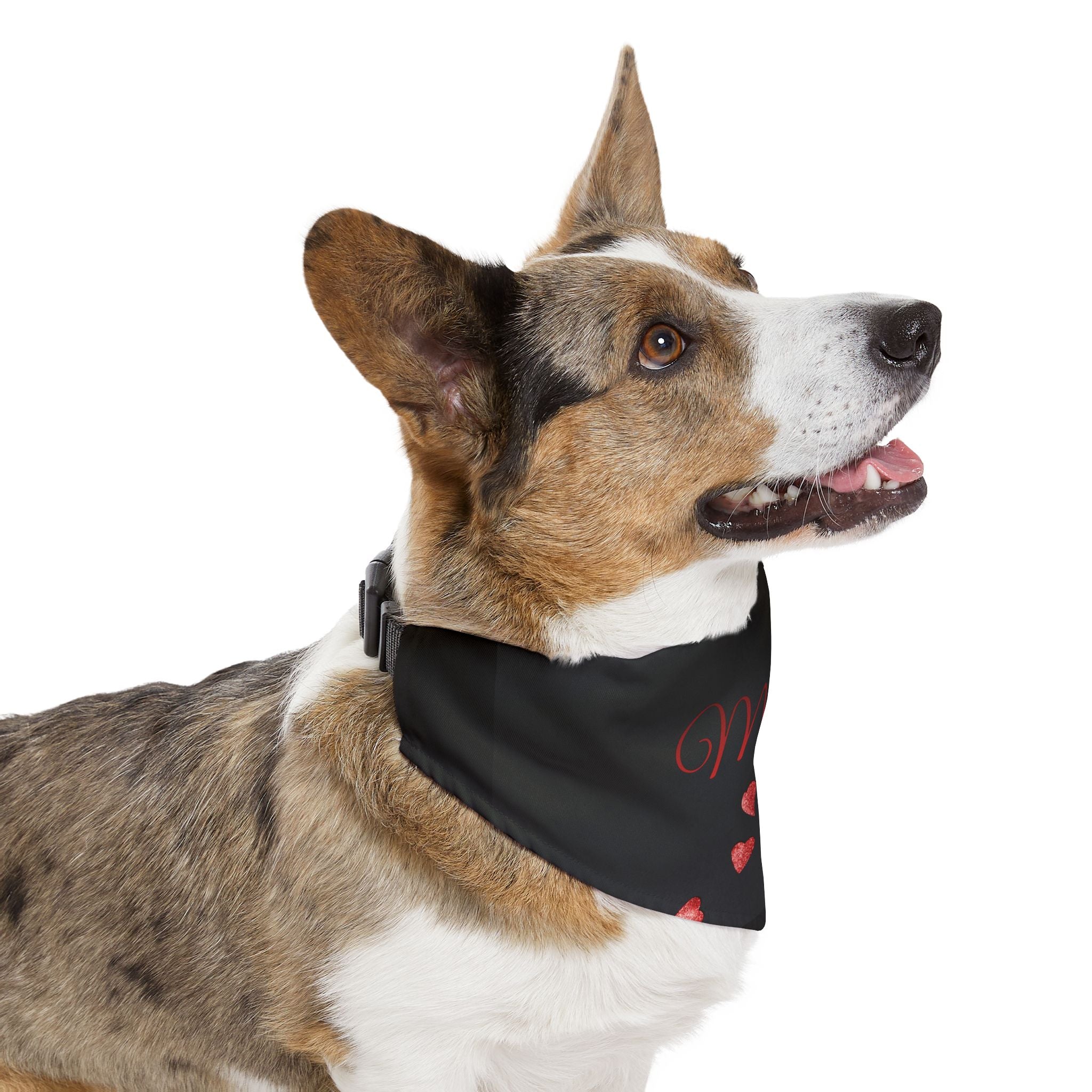 "ALMILIFE" Customizable Dog Bandana