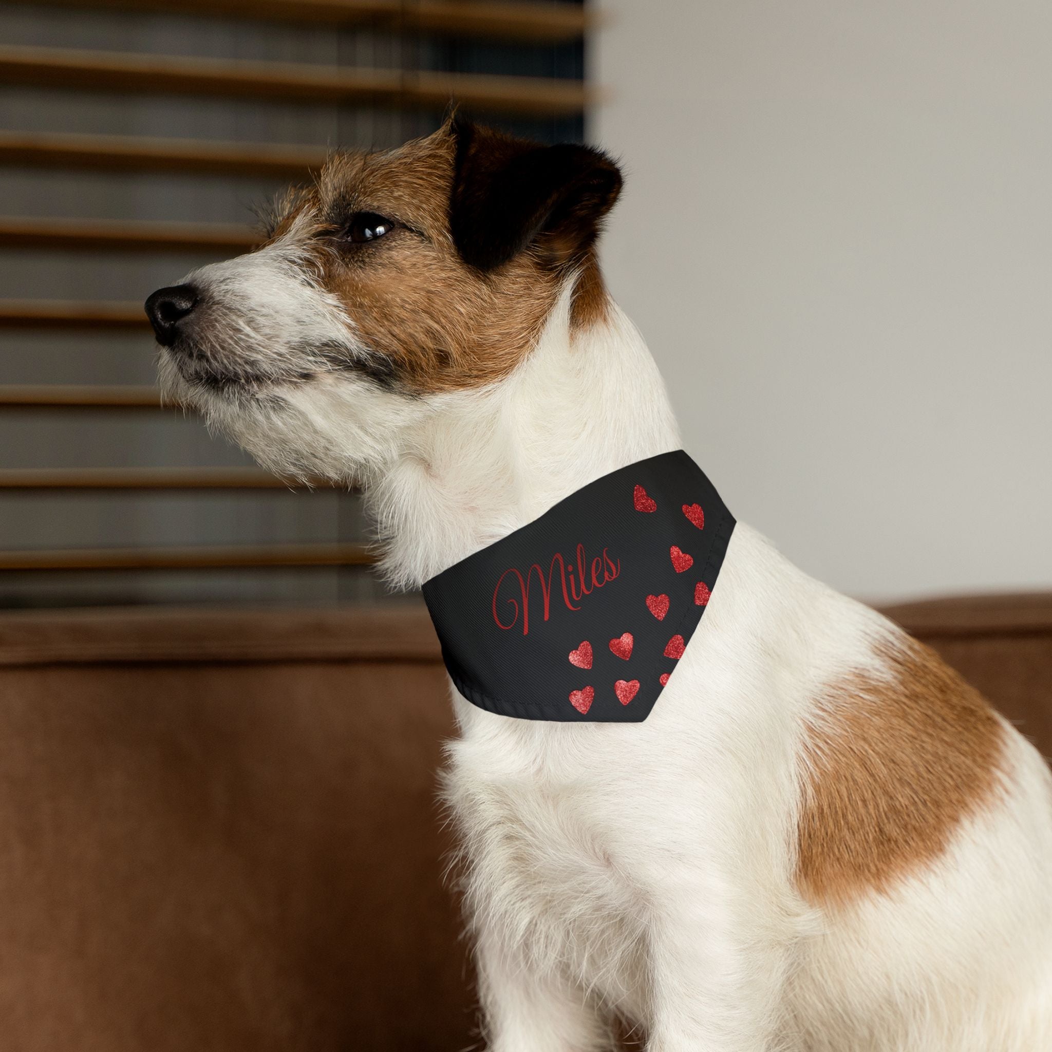 "ALMILIFE" Customizable Dog Bandana